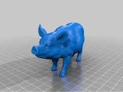 Pig Sow