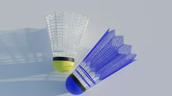 Shuttlecock Free 3D model
