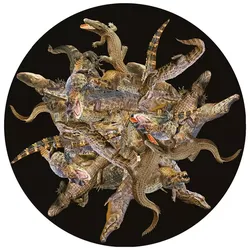 Spiky Coral Fossil Carpet Free 3D model