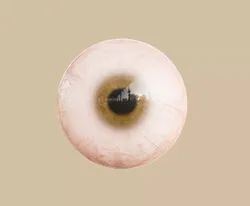 Stylized eyeball Free low-poly 3D model