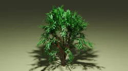 Tree pack Free low-poly 3D model