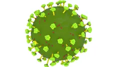 Coronavirus COVID19 Free 3D model