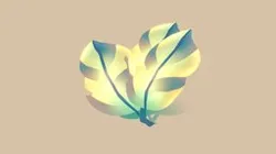 leaf