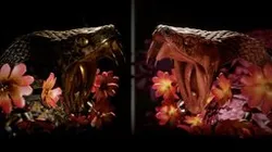 Snakes and flowers