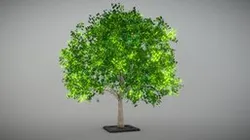 Tree Lowpoly