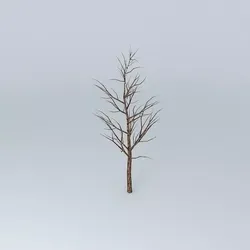Tree with no leaves Free 3D model