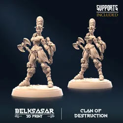 Barbarian of Destruction B All Variants