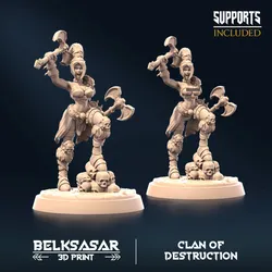 Barbarian of Destruction D All Variants