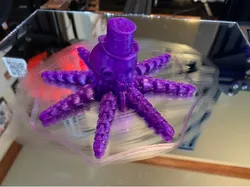 Dapper Octopus