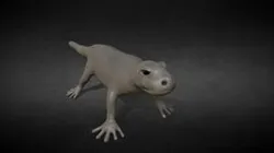 Gecko