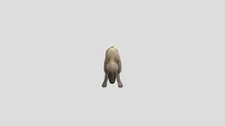 Hyaenodon Gigas Variation-1