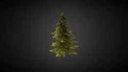 Pine tree