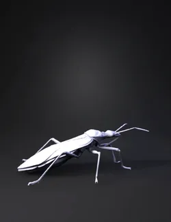 Wasp with black body and yellow markings elongated abdomen brown win