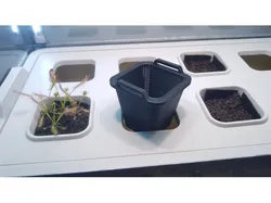 IKEA Vaxer flower pot/planter