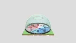 paintball-dome-arena