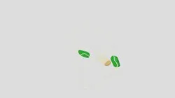 AMENIDADES Y ÁREAS VERDES CON CICLOVÍA