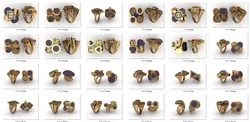 ring 93 pieces drawing 3d rihone ring rings ring models gold 3D print model