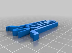 ST3D Logo