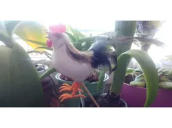 Bird leg for styrofoam birds