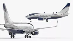 Boeing 737-600 with Interior Rigged for Cinema 4D 3D model