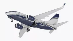 Boeing 737-600 with Interior Rigged for Maya 3D model