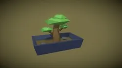 Bonsai Tree