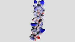 Collagen 1A1