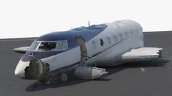 Crashed Business Jet on Runway 3D model