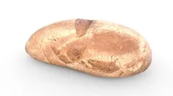 Loaf of Bread