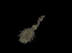 Low Poly Stylized Enchanted Forest Broom Low-poly 3D model