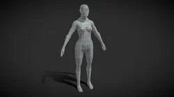 Muscular Female Body Base Mesh 1000 Polygons
