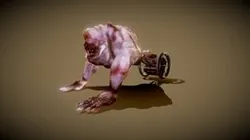 Pinky - DOOM Fan Art