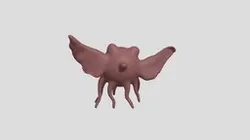 animal