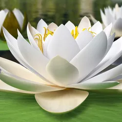 Blooming European White Lily 3D model