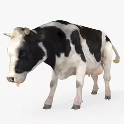 Cattle Cow Grazing Animated Rigged Fur For Blender 3D model
