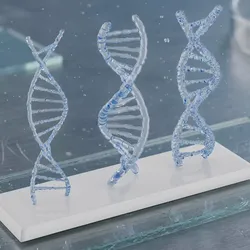 DNA Double Helix Models with Display Stand Blue 3D model