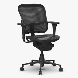 Ergonomic Mesh Desk Chair 3D model