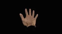 Hand