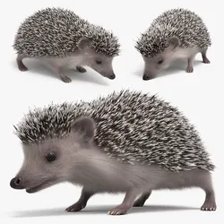 Hedgehog Eating Fur Animated Rigged For Maya 3D model