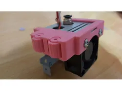 New Flying bear Tornado head