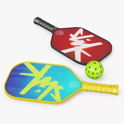 Pickleball Paddle Set with Ball and Rackets 3D model
