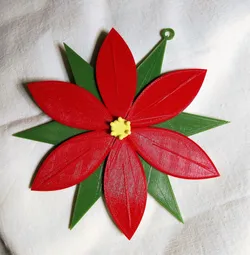 Poinsettia