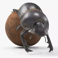 Roller Beetle Pushing Sphere Fur Animated Rigged For Maya 3D model