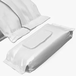 Wet Wipes Pack 3D model