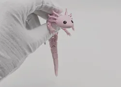 Axolotl - Free 3D Print Model