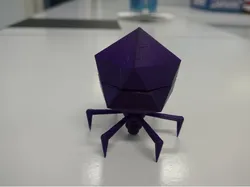 Bacteriophage T7