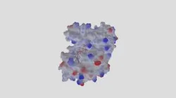 GAPDH+substrates