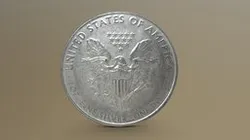 Silver Dollar Coin