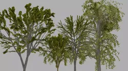3D Model Trees Textured 3D model