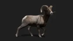 Bighorn (Demo Free Download)
